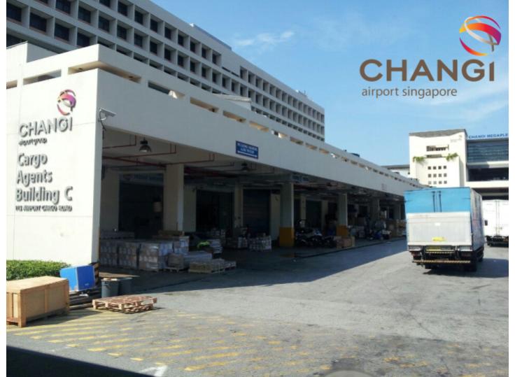 Changi Clearance