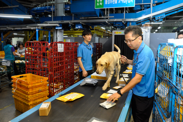 Korea customs inspection